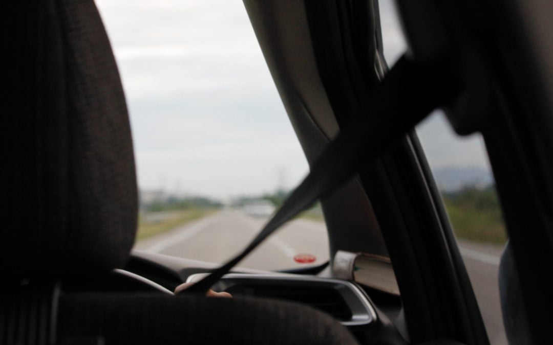 reverse seatbelt